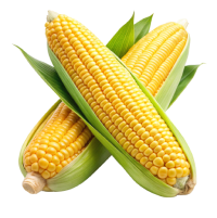 Овощи